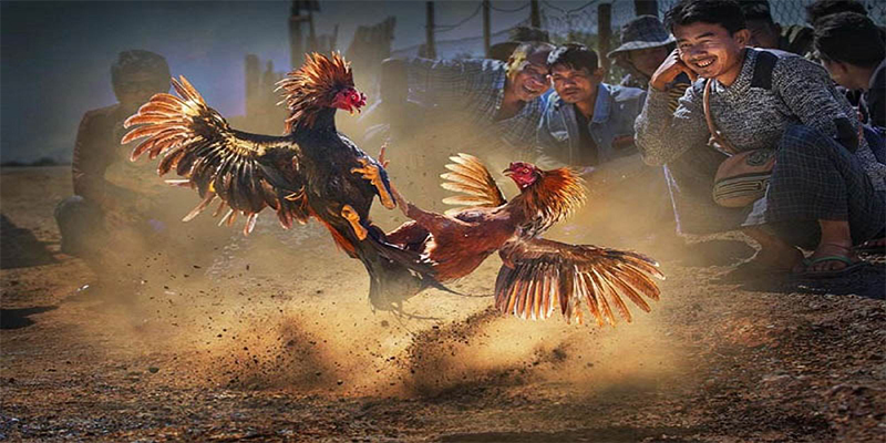 789wi đăng nhập roulette số 1