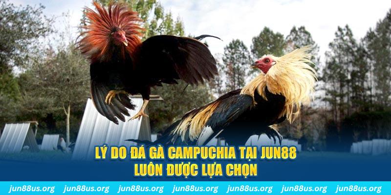 789wi tài xỉu nổ hũ là gì