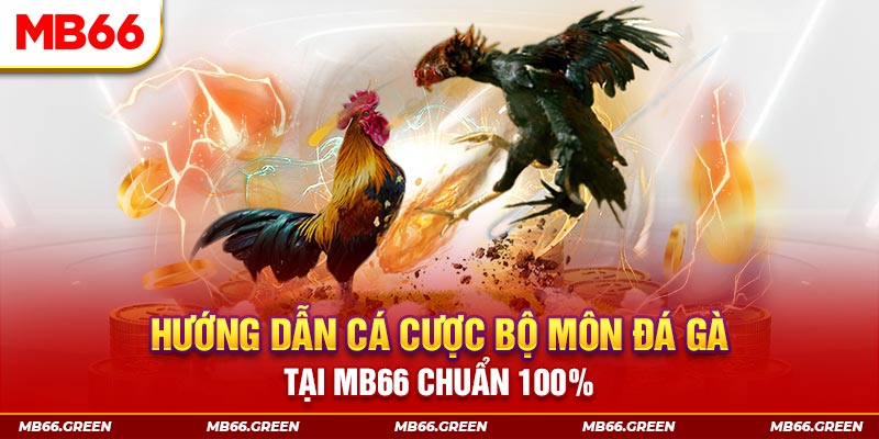 789wi xổ số bình định