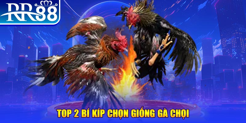 789wi đăng nhập poker số 1