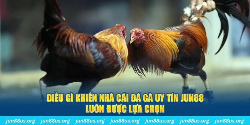 789wi qq88 nổ hũ bắn cá
