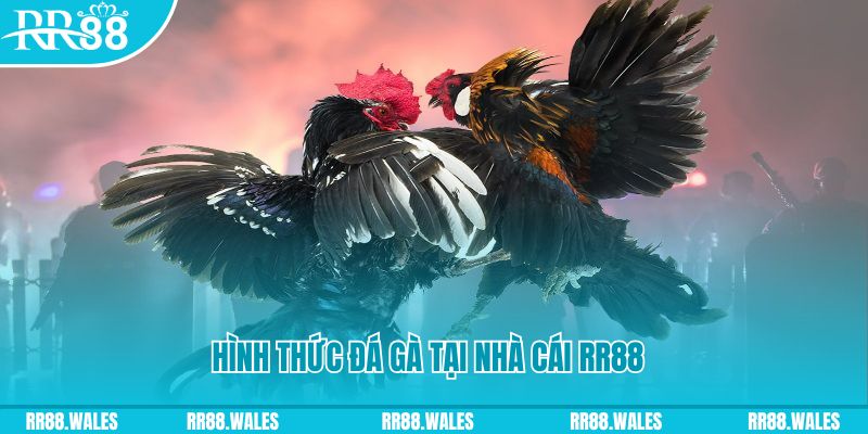 789wi xin 1 slot là gì