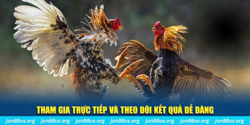 789wi đá gà trực tiếp bình luận viên