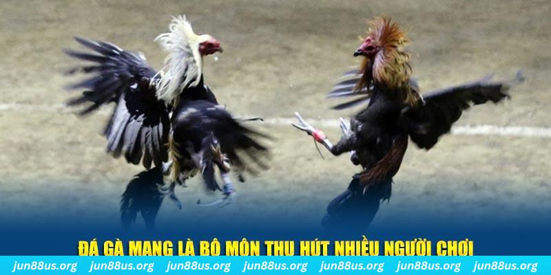 789wi xổ số cà mau