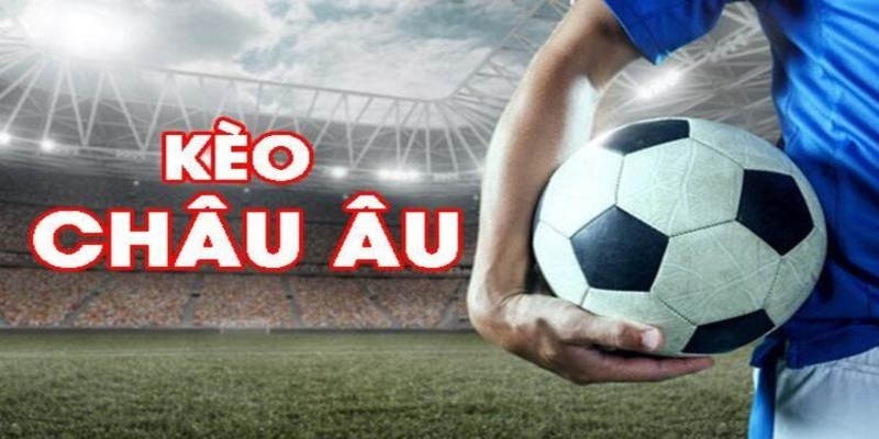 789wi đá gà trực tiếp casino