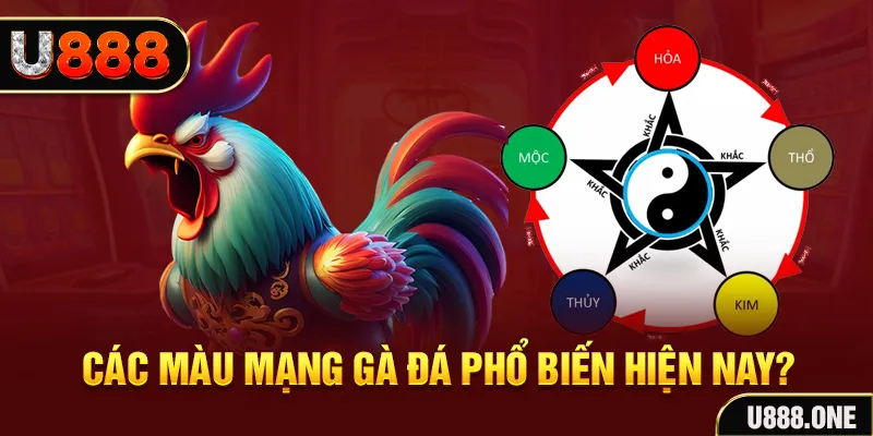 789wi đăng nhập mậu binh