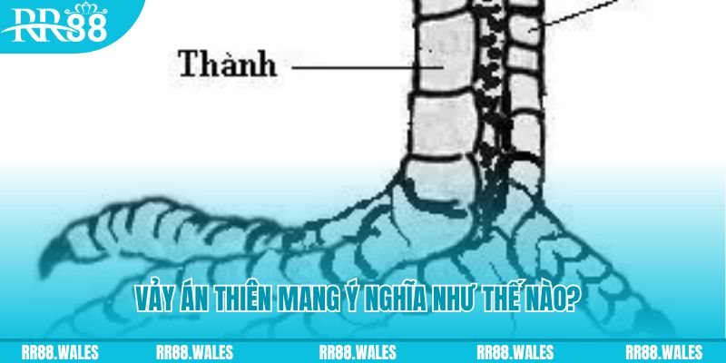 789wi đăng nhập poker online