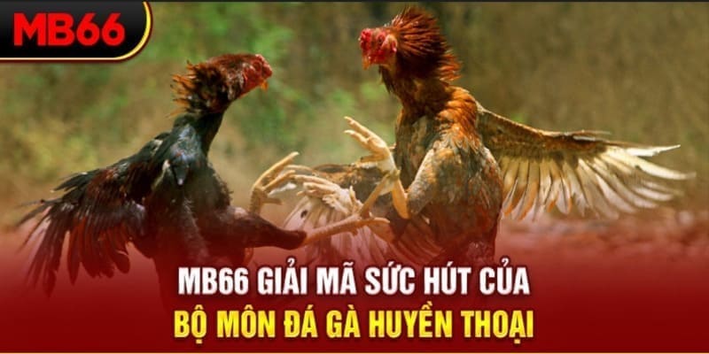 789wi Phi Đội Ưu Tú
