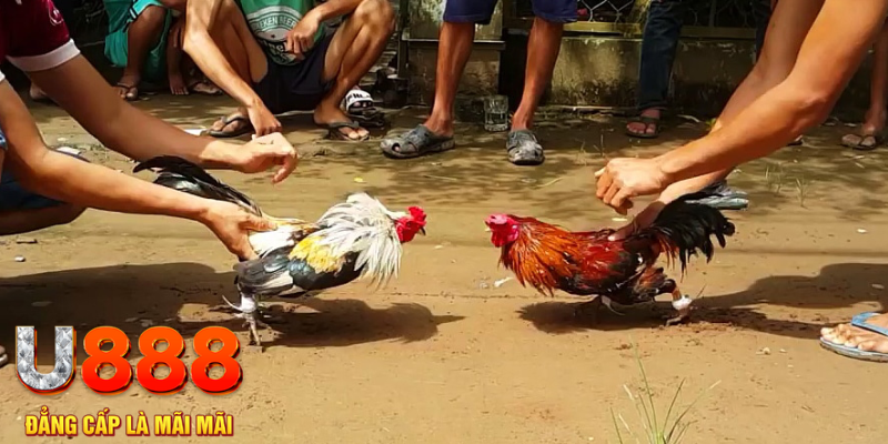 789wi đăng nhập mậu binh rút tiền nhanh