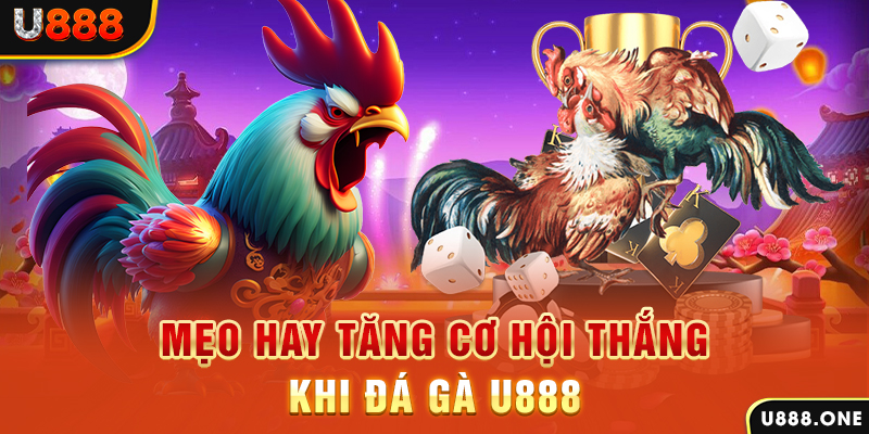 789wi trực tiếp gà chọi c1