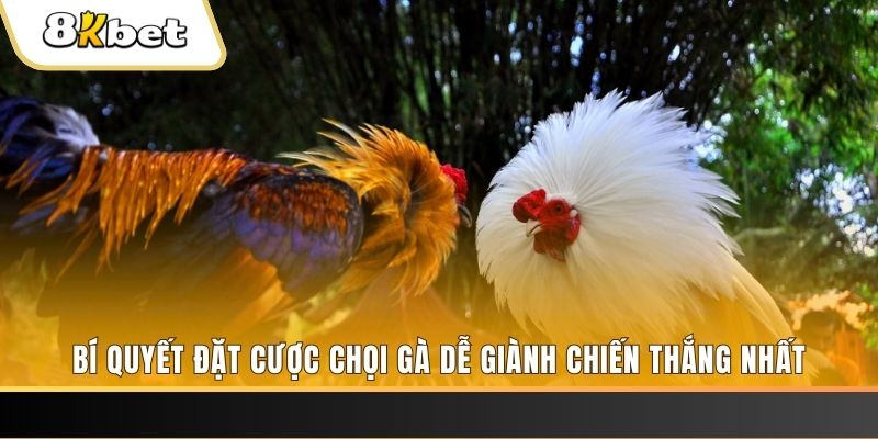 789wi Tài Xỉu 2