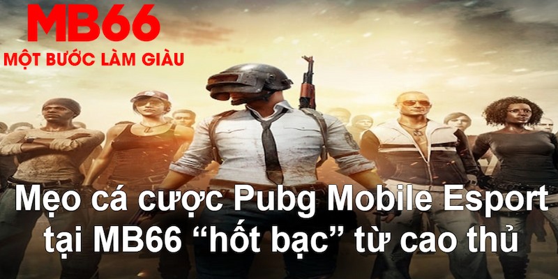 789wi gà chọi mộc hóa