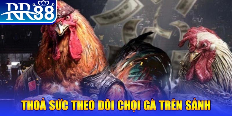 789wi đá gà 88.com